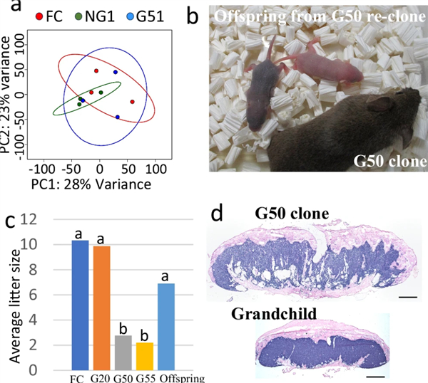 △ 图片来自《自然通讯》