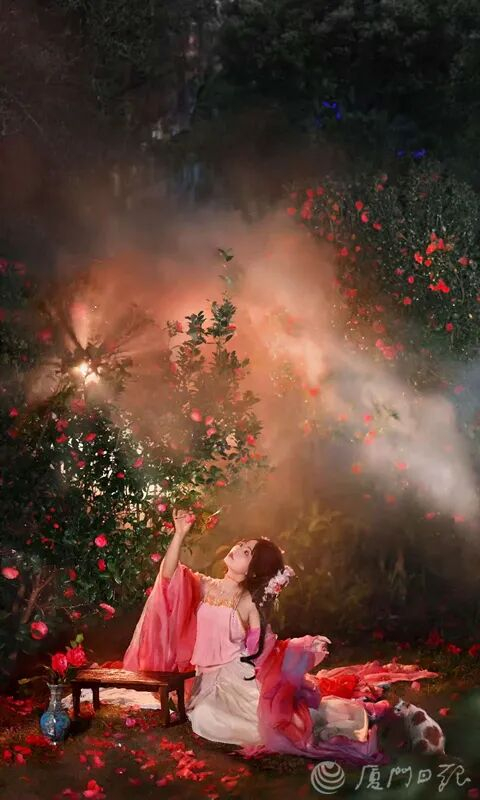 ▲汉服爱好者在雨中与山茶花合影。