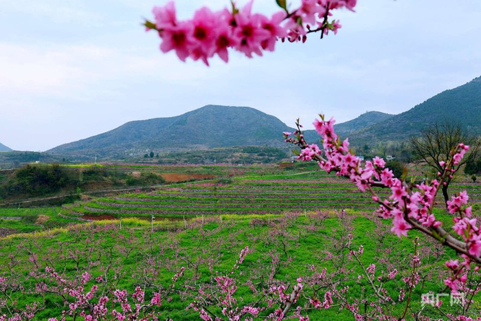 Ԭ�Ҵ�ʢ�����һ���������� ������ �㣩