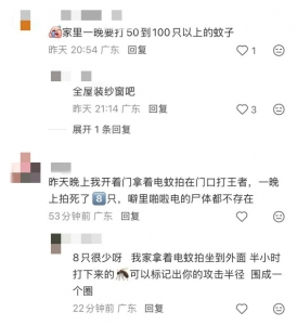 广东网友吐槽蚊子太多。视频截图