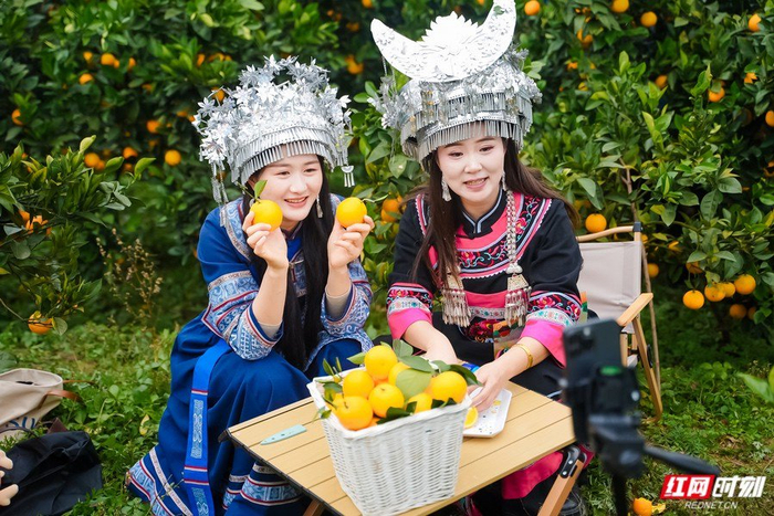 苗族阿妹在直播间卖麻阳冰糖橙。