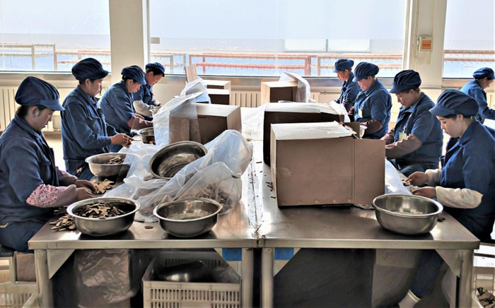 图为顺兴和公司中药材GMP车间工人们在忙碌工作（2）