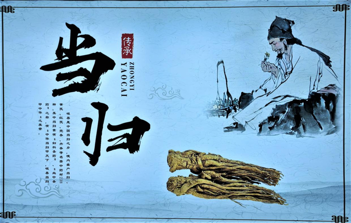图为岷县道地中药材品牌“当归”