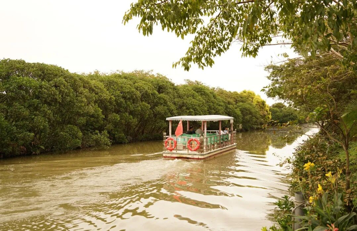 打卡南沙湿地 记者 黎存根 摄