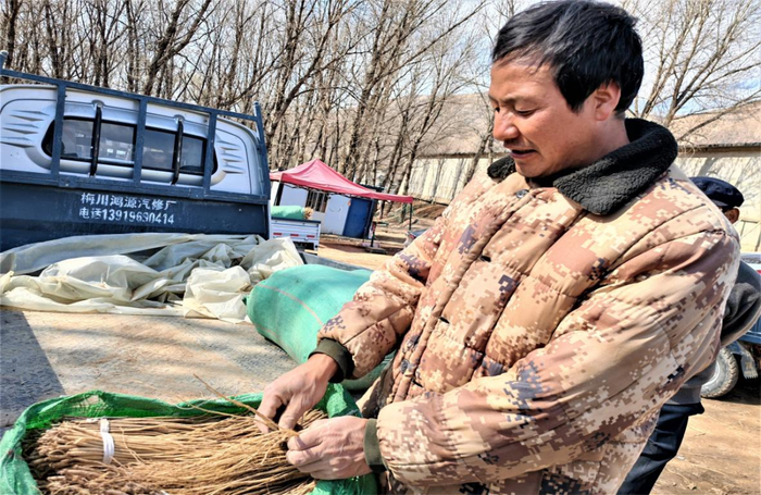 图为梅川镇种苗交易市场上附近药农在销售党参种苗
