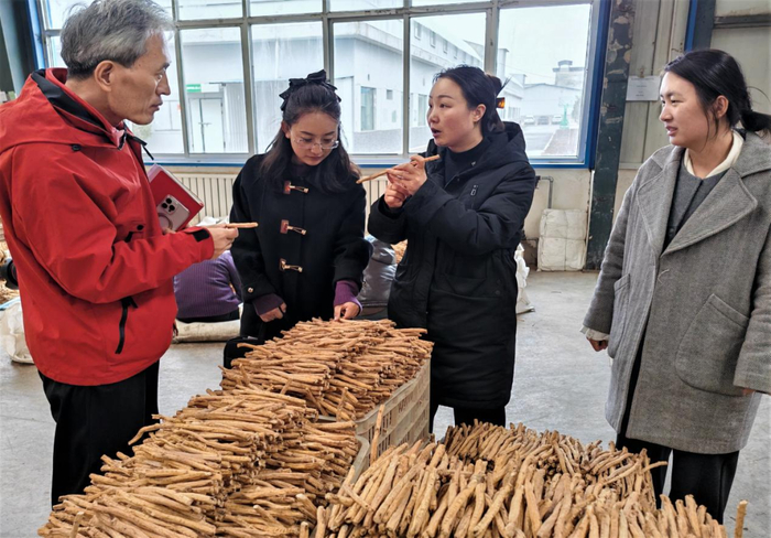 图为顺兴和公司经理景文婷介绍中药材的加工过程