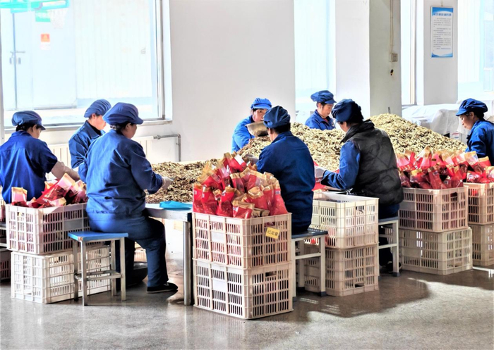 图为顺兴和公司中药材GMP车间，工人们在忙碌工作（1）