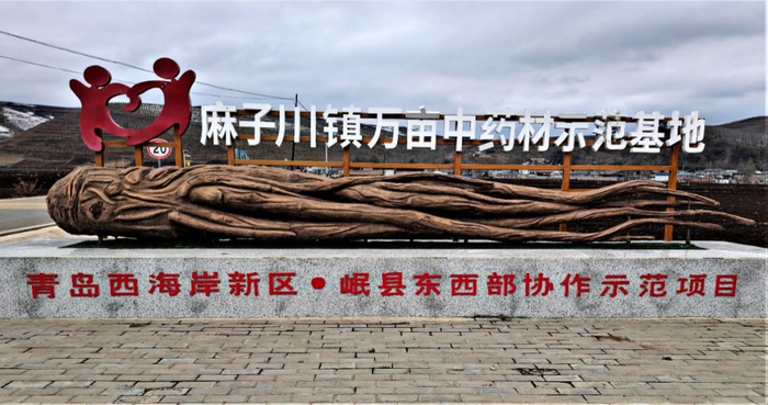 图为位于岷县麻子川镇万亩中药材示范基地