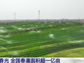 春灌用上黑科技 全国超亿亩农田高效“解渴”