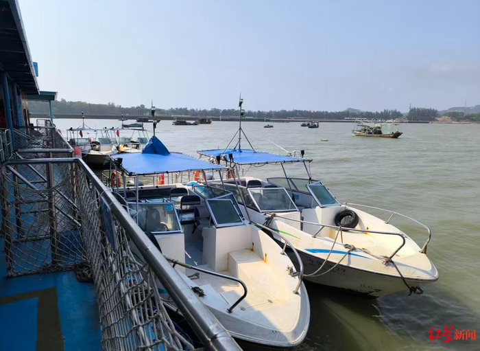 ▲广旅海豚湾公司的船只停靠在码头边