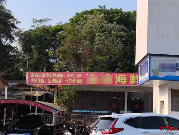 ▲大排档的招牌上写着“代办看海豚”