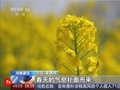 从“种田地”到“种风景” “花样经济”新业态奏响乡村振兴“春日曲”