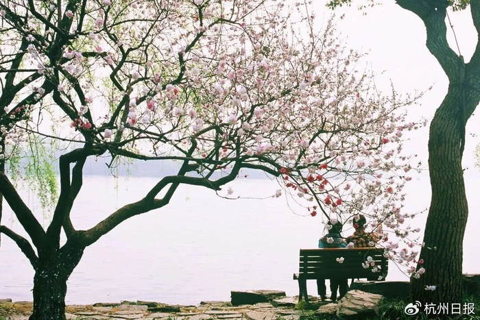 图源：“杭州西湖景区资讯”微信公众号​