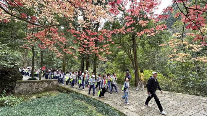 雁荡山迎来春日研学热  詹必红摄