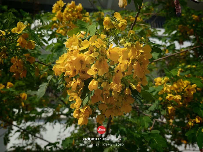 （图片来源：雷科技摄制）