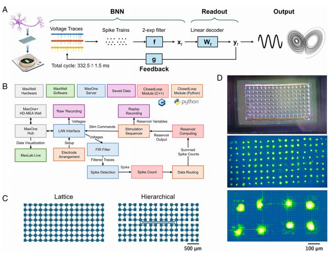 （来源：PNAS）