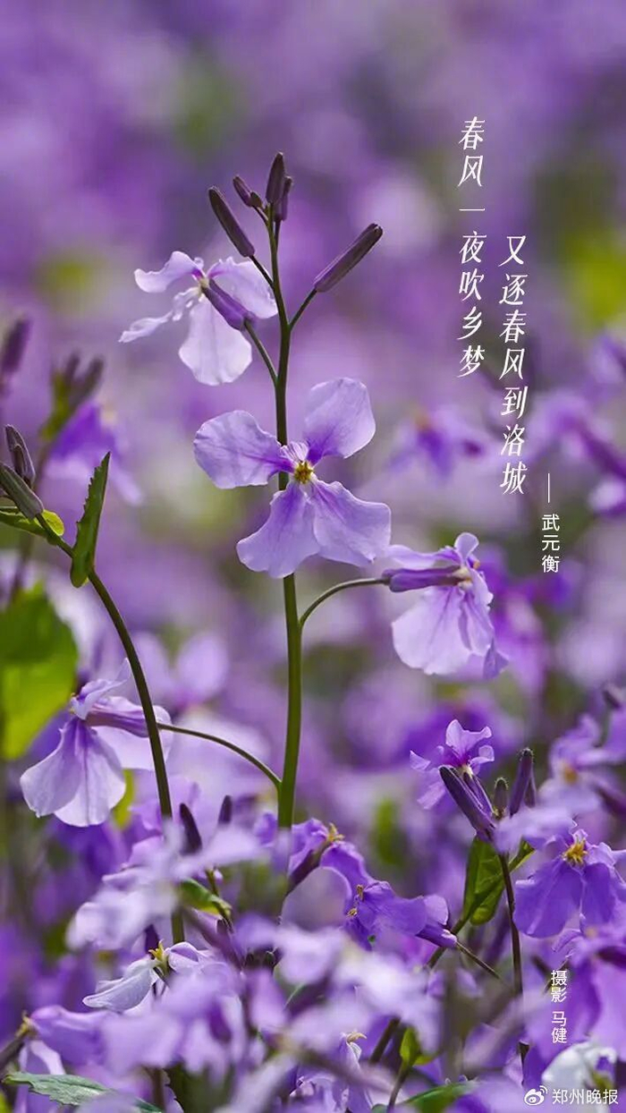 新闻来源：郑州日报 、郑州晚报 、中原网、正观新闻、新华社、人民日报、央视新闻等