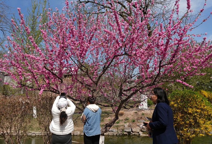 ����������������ӹ�԰�����ͼƬ��ԴCFP��