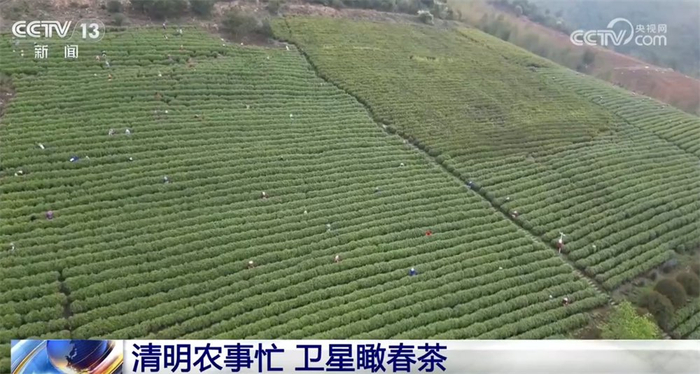 　　在江苏无锡，一条第四代智能化生产线正满负荷运转，产能可覆盖万亩茶园。