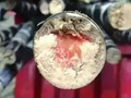 紧急提醒：清明后千万不要吃！比蛇还毒！