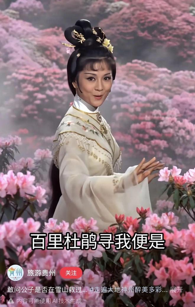 图注：旅游贵州"雪山救狐"AI视频