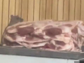 羊汤店老鼠啃食生肉？河北景县通报：属实，责令门店停业整顿