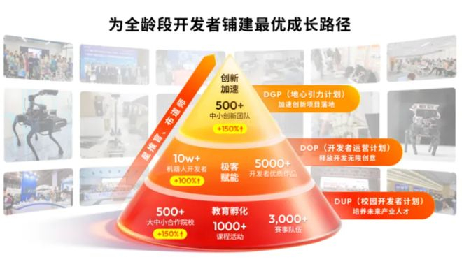 ▲开发者金字塔
