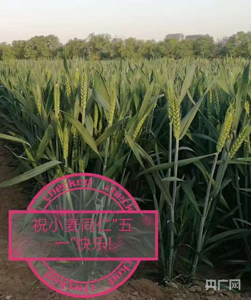 郭进考“朋友圈”发文配图（央广网发  受访者供图）