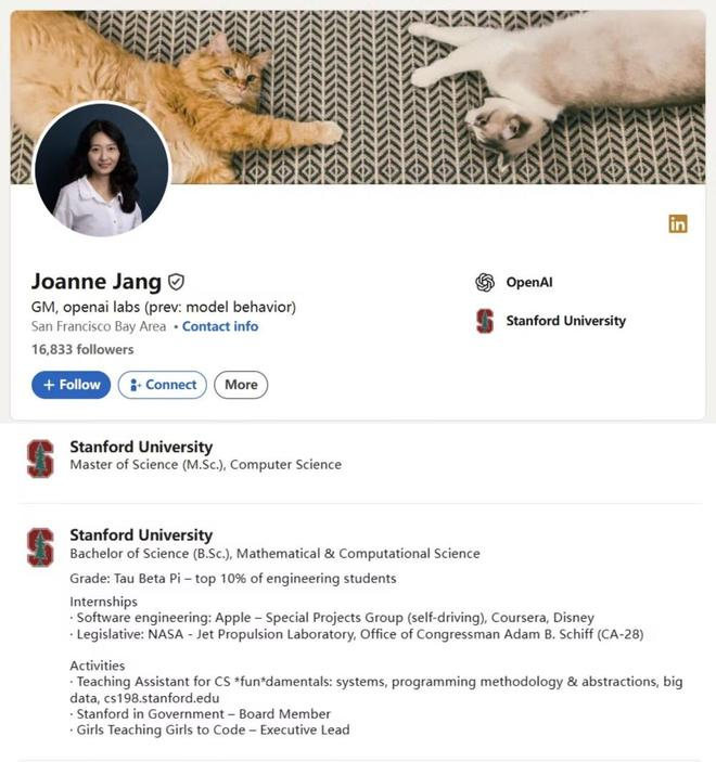 ▲Joanne Jang的履历（图源：领英）