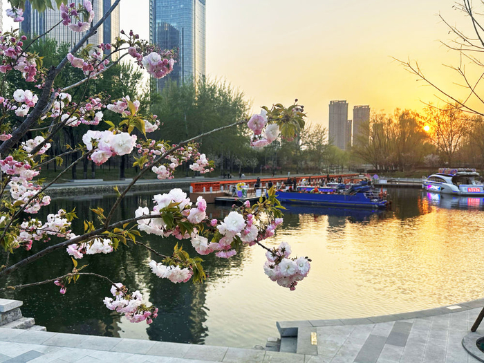 北京北小河边鲜花盛开。新华社记者 杨淑君 摄