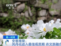 安徽南陵依托花卉资源，解锁农文旅融合新玩法