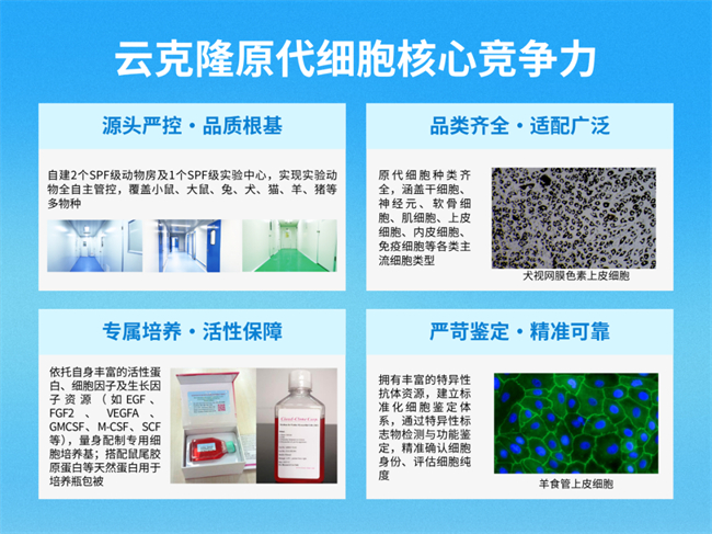 图一 云克隆原代细胞核心竞争力（四位一体）