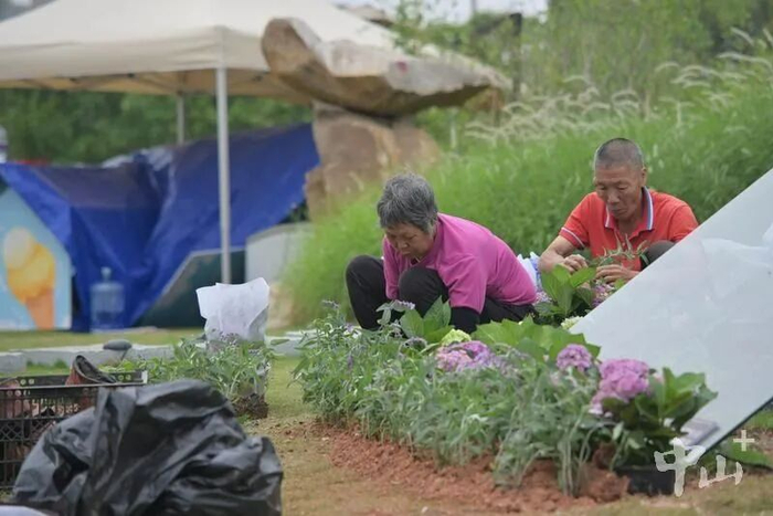 工人正在园内种植花草。记者 缪晓剑 摄