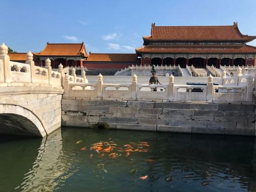 故宫博物院里的兴国红鲤 图源北京美丽乡村