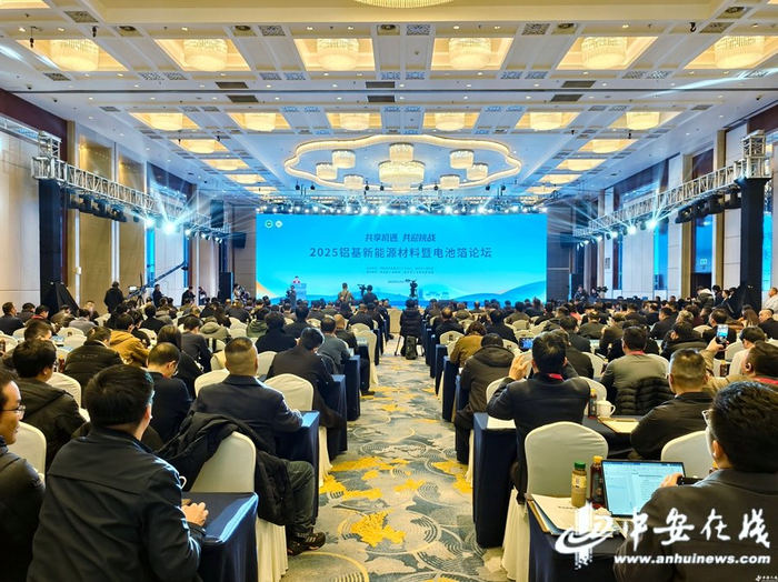 　　2025铝基新能源材料暨电池箔论坛