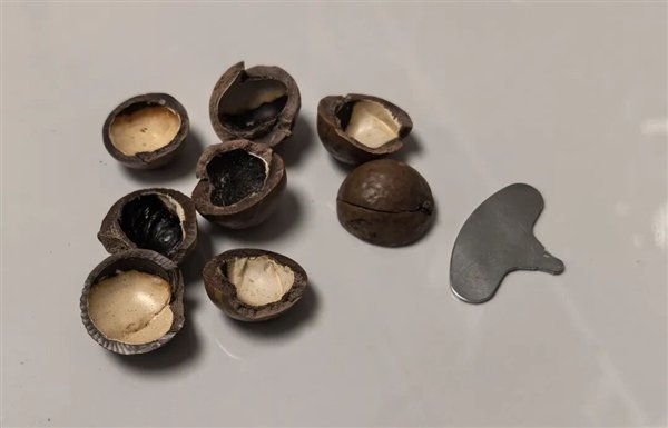 开夏威夷果的“钥匙”（图源：自己拍的）