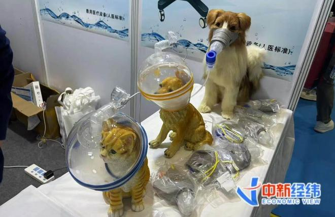 宠物适配雾化器 中新经纬王玉玲 摄