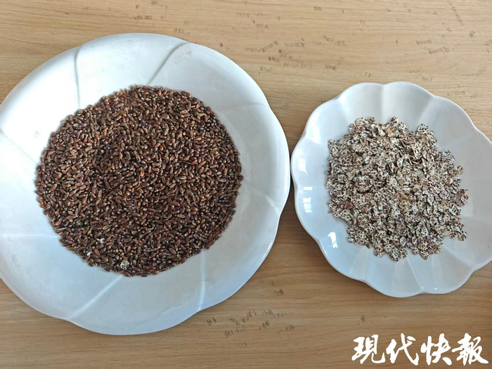 黑小麦面粉