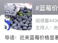连续冲上热搜！“贵族水果”价格大跳水