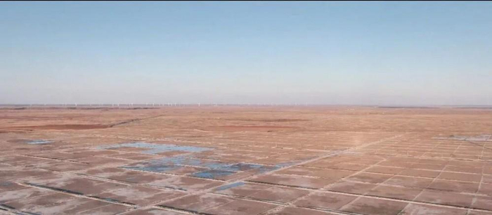 图注：大安一场盐碱地改良前后对比