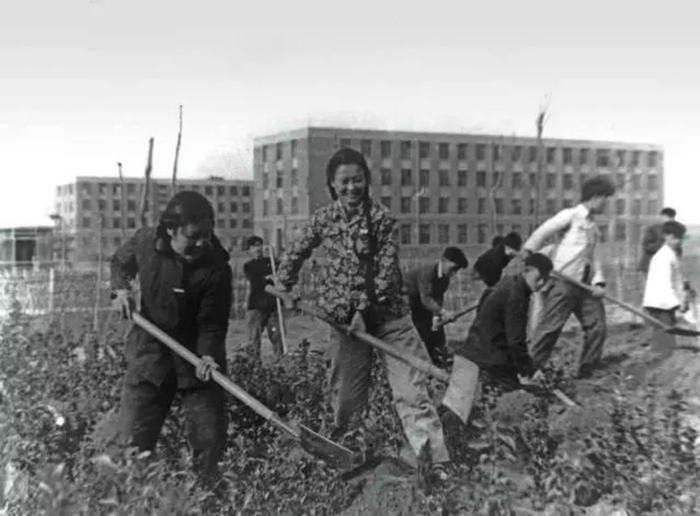 　　迁校初期，师生们进行校园绿化（图片来源：西安交通大学新闻网）
