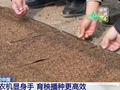 春天里的中国丨新型农机田间“上岗” 多地育秧播种按下加速键