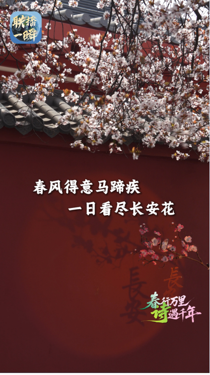 编辑：呼乐乐
