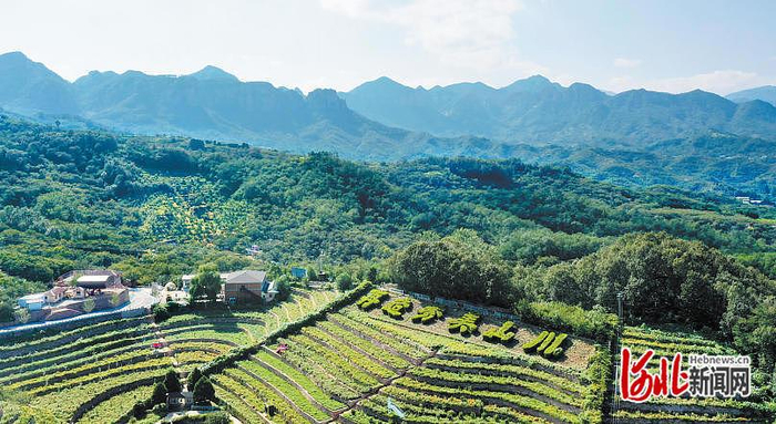 2025年9月3日，无人机拍摄的邢台市信都区前南峪。（资料片） 河北日报记者 赵永辉摄