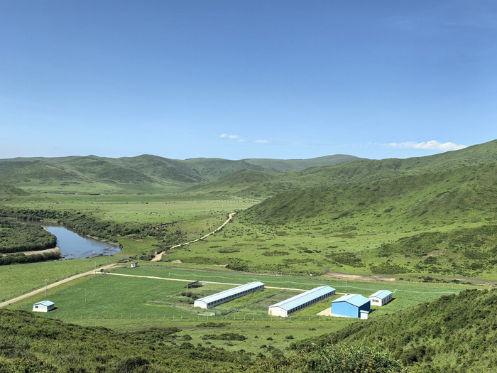 红原县阿木乡四川省草原科学研究院科技园区。苟玉婷 摄