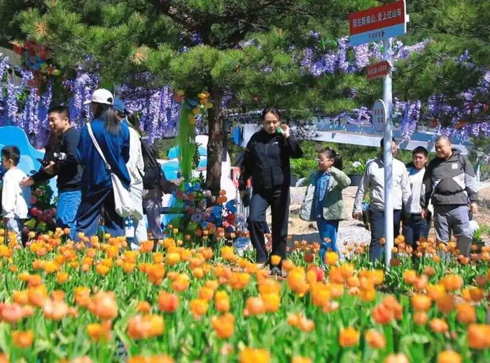 图源：山东文旅新甫山景区