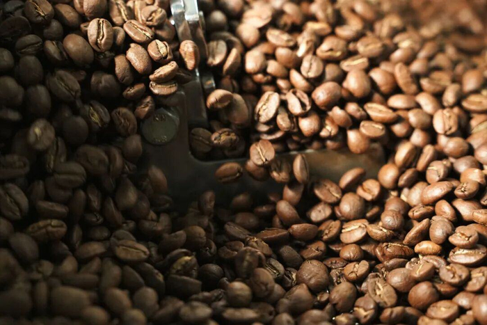 保山小粒咖啡 保山市委宣传部 供图