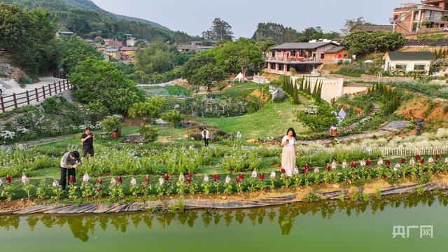 游客漫步“亿佳·葵山里”，拍照打卡（央广网记者 梁瑜琳 摄）