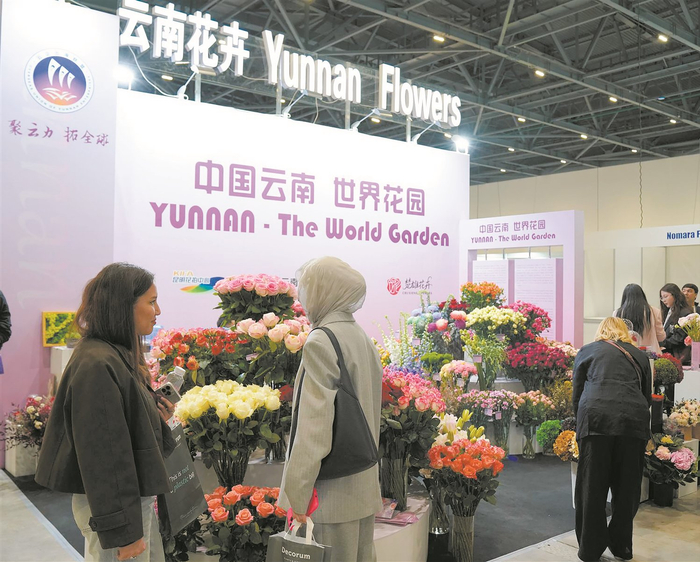 云南花卉亮相中亚专业展会。 云南省花卉产业联合会供图