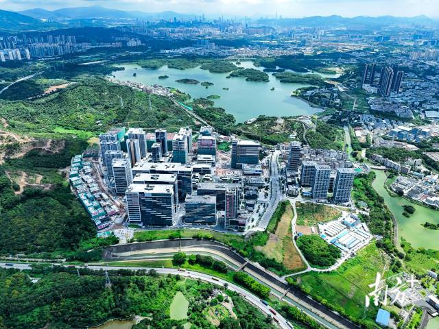 凤岗以京东智谷等新型产业平台为依托，引导人工智能、新一代信息技术等新兴产业集聚。